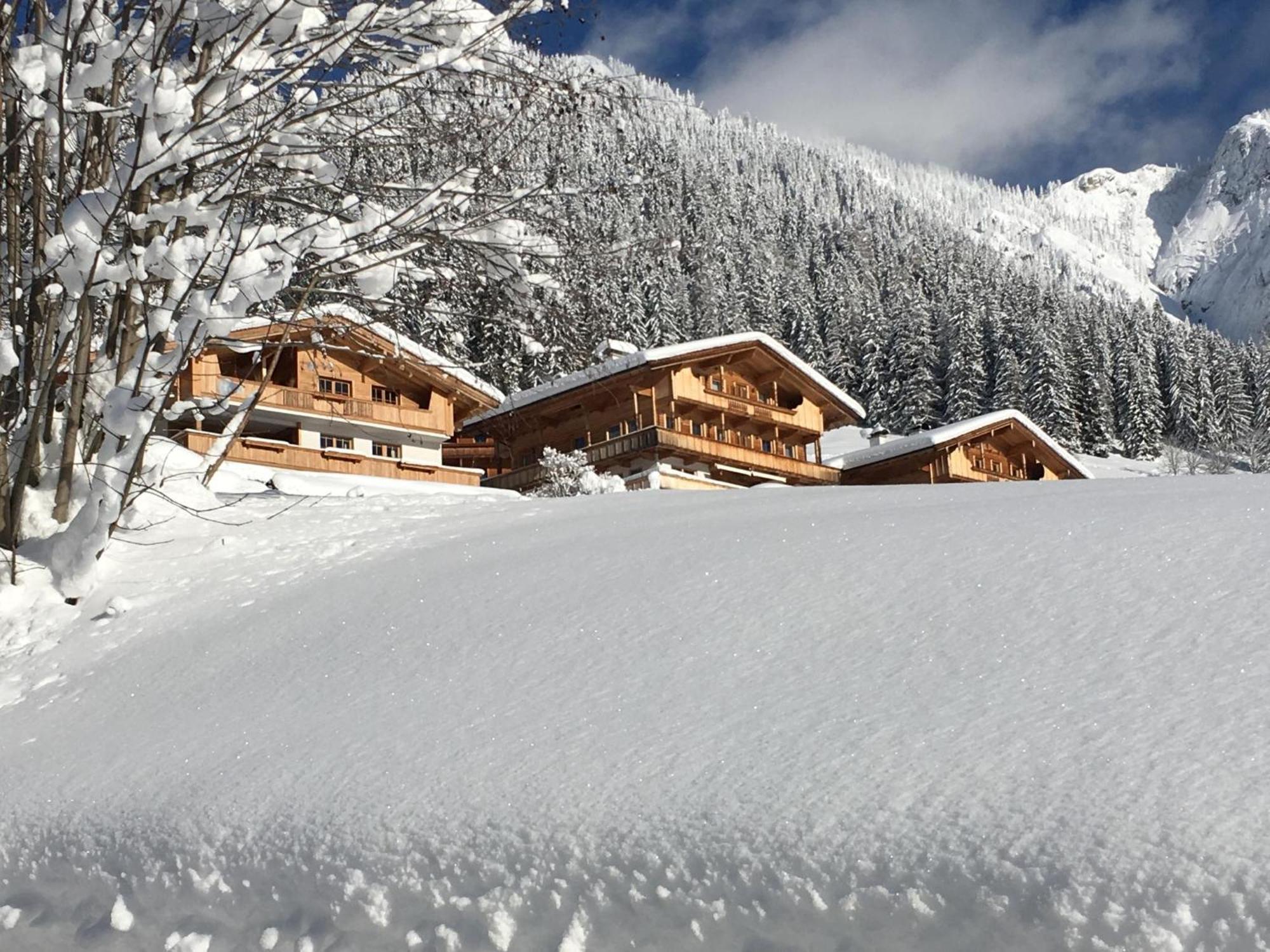 Haus Fernwald Top Tim Und Nynke Alpbach Εξωτερικό φωτογραφία